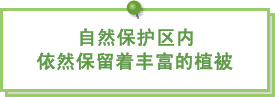 图片：自然保护区内依然保留着丰富的植被