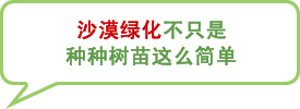 图片：沙漠绿化不只是种种树苗这么简单