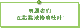 图片：志愿者们在默默地修剪枝叶！ 