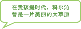 图片:在我孩提时代,科尔沁曾是一片美丽的大草原