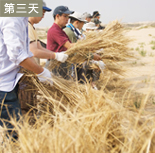 图片：第三天