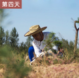 图片：第四天