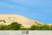 图片:沙漠
