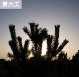 图片：第六天