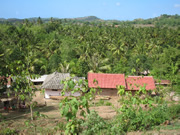 印度尼西亚的村落