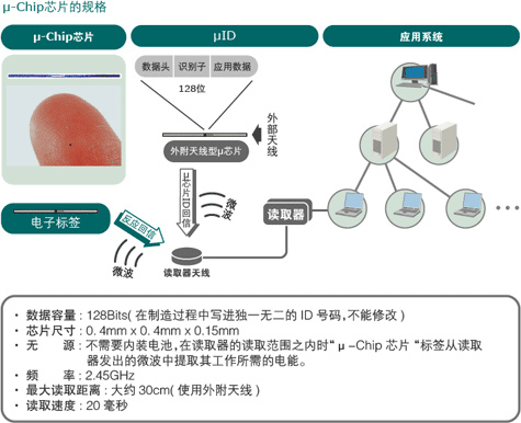 图片：μ-Chip芯片的规格