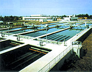 Municipal Water Purification Planet