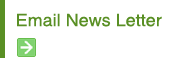 Email News Letter