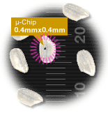 ����-ChipоƬ���ĳߴ磨��������ȣ�
