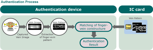 Authentication Process