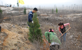 日立（中国）的志愿者植树活动