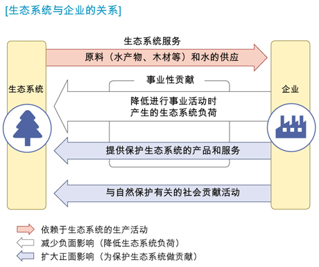 生态系统与企业的关系