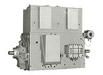 TFLXX－KK 高压电机特种电机
