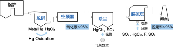 脱汞的基本流程