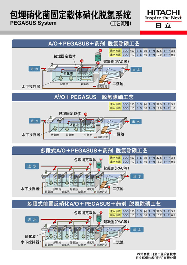 展板图：包埋硝化菌固定载体硝化脱氮系统