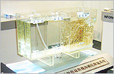 照片：日立包埋硝化菌佩格薩斯载体硝化脱氮系统