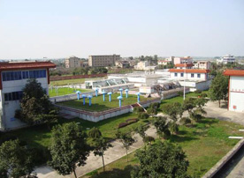 图片：全景