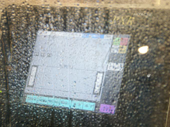 PXRϵ(PXR-D460W)Ƭ